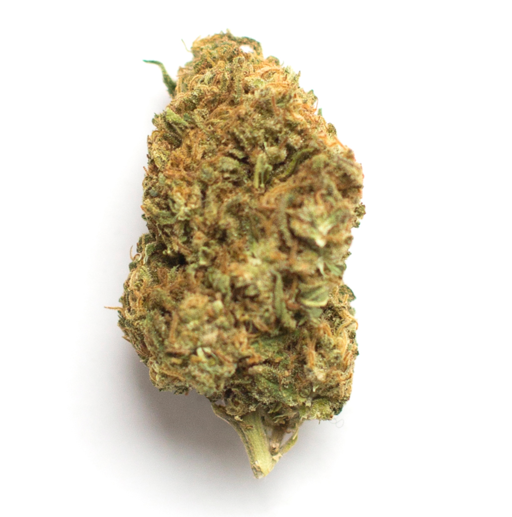 Bubble Gum Runtz (PRIVATE RESERVE)