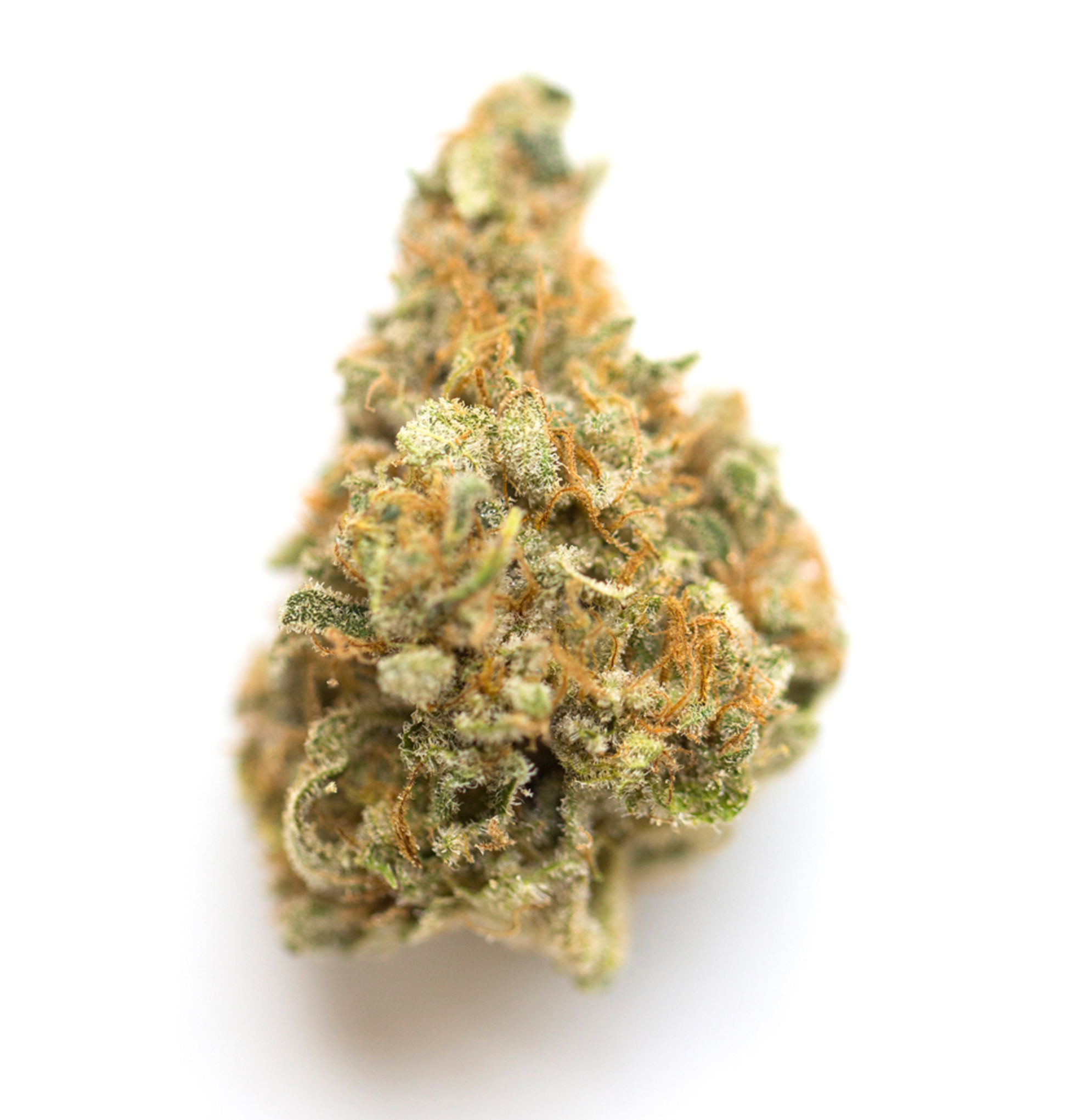 Zlushie (PRIVATE RESERVE)