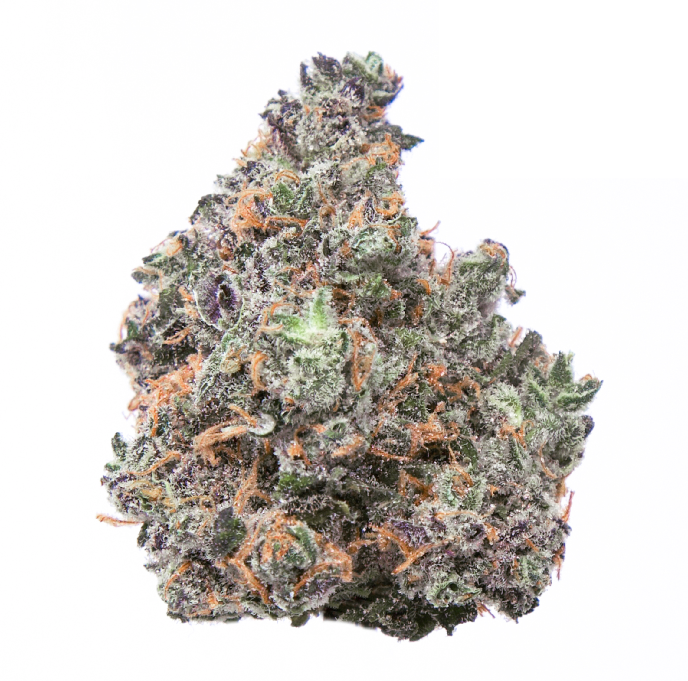 Candyland SB