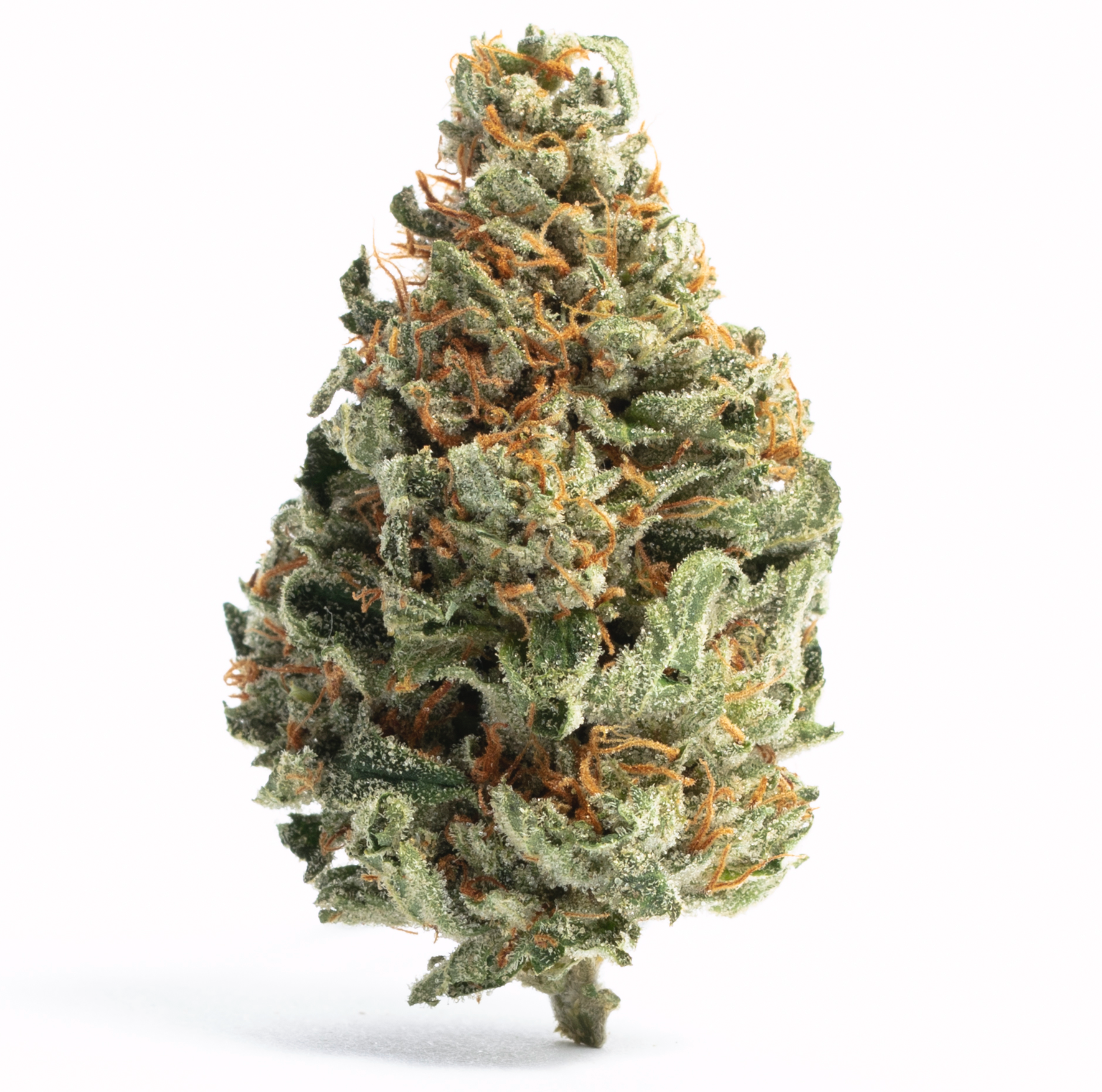 Cosmic Cookies (ULTRA PRIVATE RESERVE 4 GRAM)